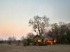 Plains Camp - tents